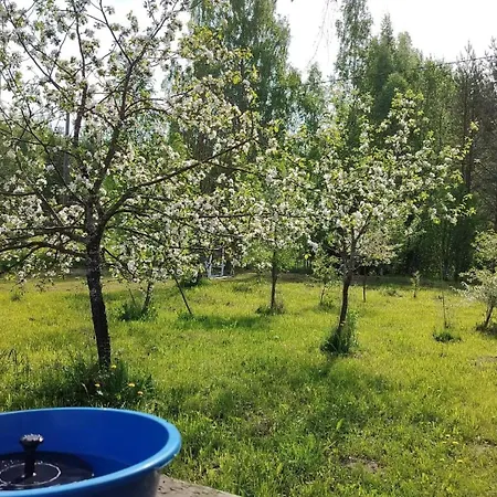 Maalaistalot Mummola *